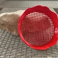 Đồ chơi sàng cát (Toy sand sifter) cho bé - Thumbnail 4