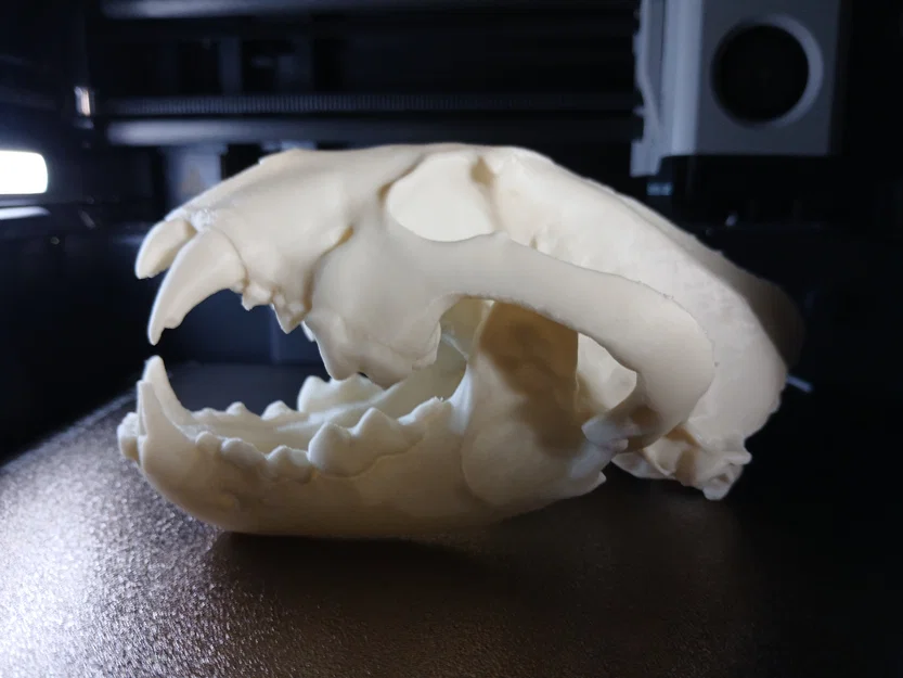 Hộp Sọ Wolverine (Wolverine Skull) – Mẫu 3D In Được - Image 1