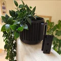 Chậu cây treo tường (Wall Mount Planter) - Thumbnail 1