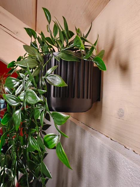 Chậu cây treo tường (Wall Mount Planter) - Image 2
