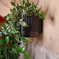 Chậu cây treo tường (Wall Mount Planter) - Thumbnail 2