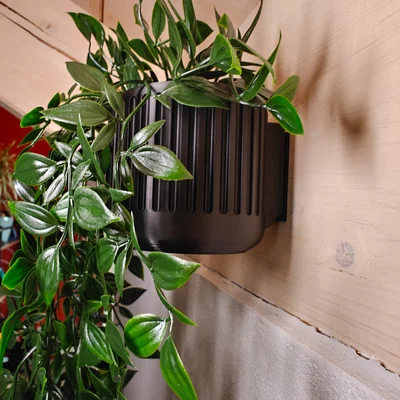 Chậu cây treo tường (Wall Mount Planter)