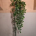 Chậu cây treo tường (Wall Mount Planter) - Thumbnail 5