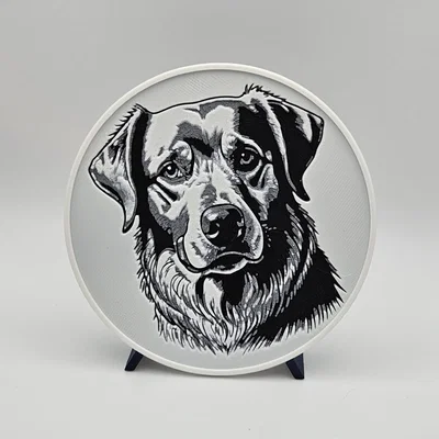 Bộ lót ly Golden Retriever - Hueforge