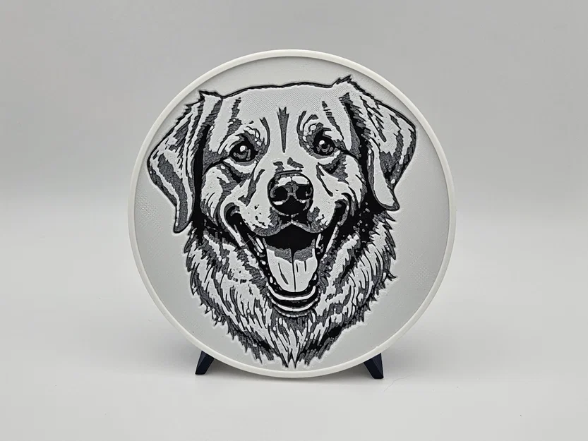 Bộ lót ly Golden Retriever - Hueforge - Image 5