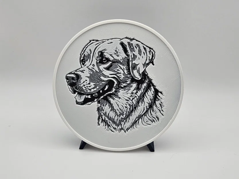 Bộ lót ly Golden Retriever - Hueforge - Image 6