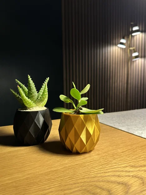 The Pineapple Planter ~ Chậu trồng cây ~ Miễn phí! - Image 1