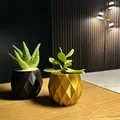 The Pineapple Planter ~ Chậu trồng cây ~ Miễn phí! - Thumbnail 1