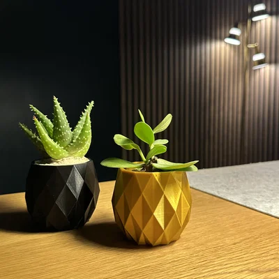 The Pineapple Planter ~ Chậu trồng cây ~ Miễn phí!