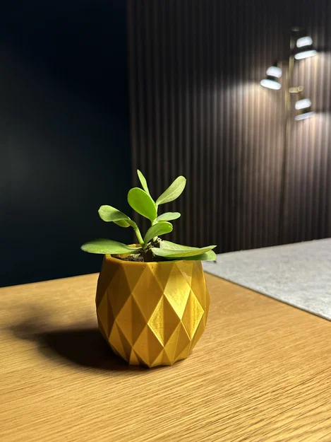 The Pineapple Planter ~ Chậu trồng cây ~ Miễn phí! - Image 2