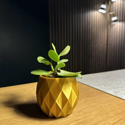 The Pineapple Planter ~ Chậu trồng cây ~ Miễn phí!