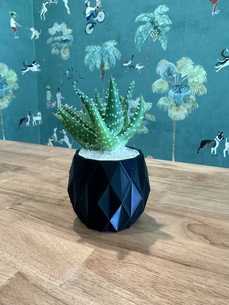 The Pineapple Planter ~ Chậu trồng cây ~ Miễn phí! - Image 3