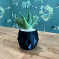 The Pineapple Planter ~ Chậu trồng cây ~ Miễn phí! - Thumbnail 3