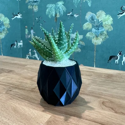 The Pineapple Planter ~ Chậu trồng cây ~ Miễn phí!