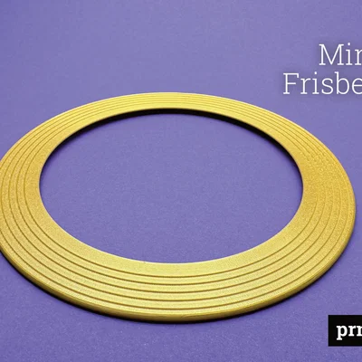 Mini-Frisbee - Nhỏ gọn nhưng bay siêu ổn định!