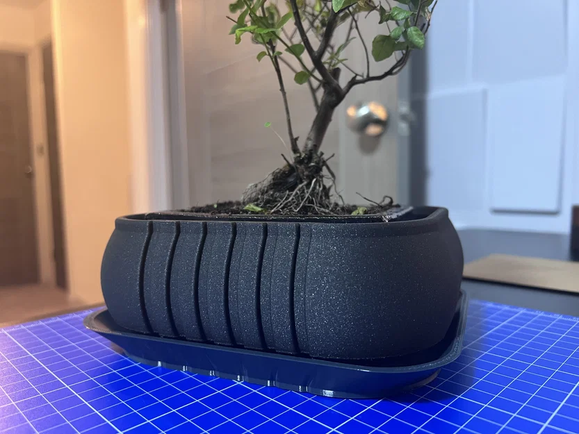 Chậu trồng Bonsai (Bonsai Planter) kèm/không kèm khay - Image 1