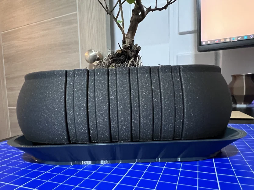 Chậu trồng Bonsai (Bonsai Planter) kèm/không kèm khay - Image 2
