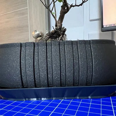 Chậu trồng Bonsai (Bonsai Planter) kèm/không kèm khay