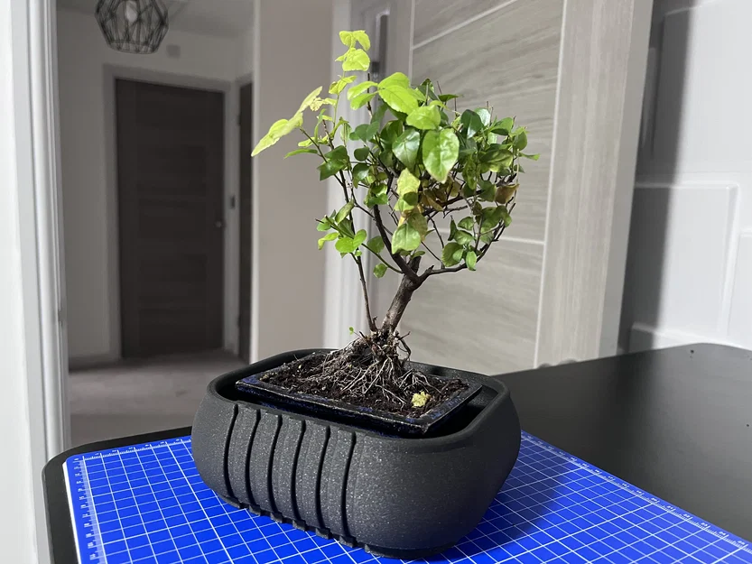 Chậu trồng Bonsai (Bonsai Planter) kèm/không kèm khay - Image 7
