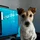 YtrewqBox_405935