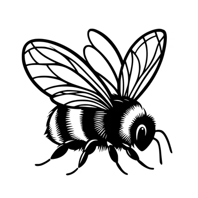 Khuôn tô hình chú ong nghệ (Stencil: Bumble-bee) trang trí tường