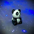 “Pandy” – Gấu Trúc Con - Thumbnail 1