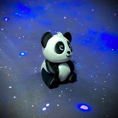 “Pandy” – Gấu Trúc Con