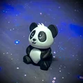 “Pandy” – Gấu Trúc Con - Thumbnail 2