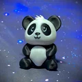 “Pandy” – Gấu Trúc Con - Thumbnail 3