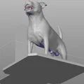 Bộ chặn sách Staffordshire Bull Terrier (Bookend set) - Thumbnail 6