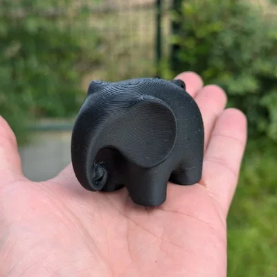 Voi nhỏ (Small elephant)