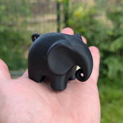 Voi nhỏ (Small elephant)