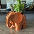 Chậu trồng cây hình voi (Elephant planter) - Thumbnail 2