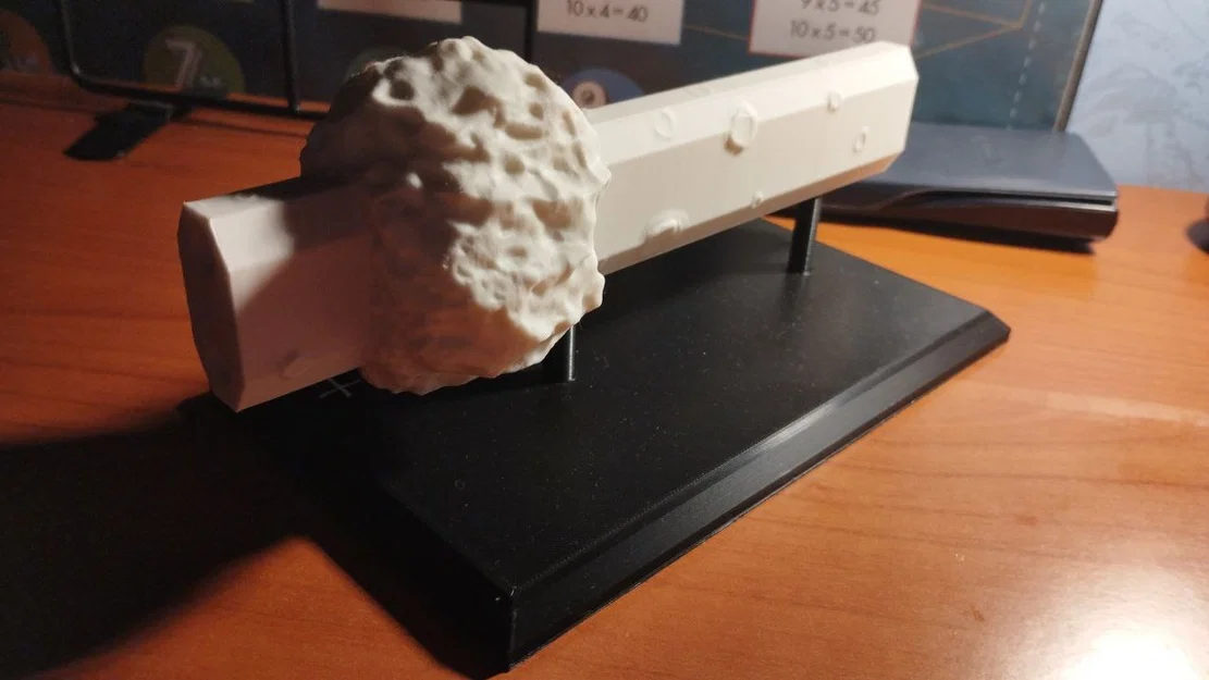 Sidonia (Kèm Stand) - Image 5