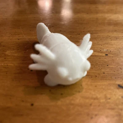 Axolotl Flexy Dễ Thương (Print-in-Place)