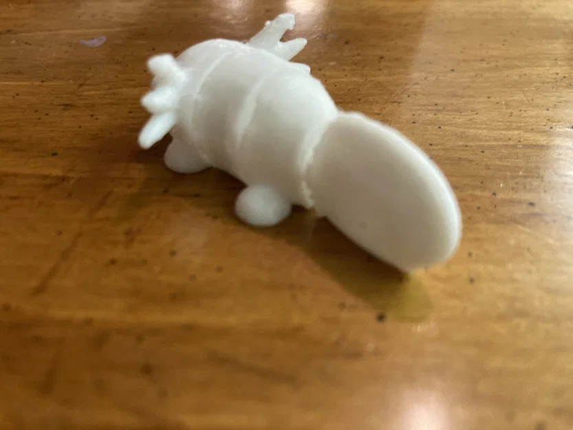 Axolotl Flexy Dễ Thương (Print-in-Place) - Image 5