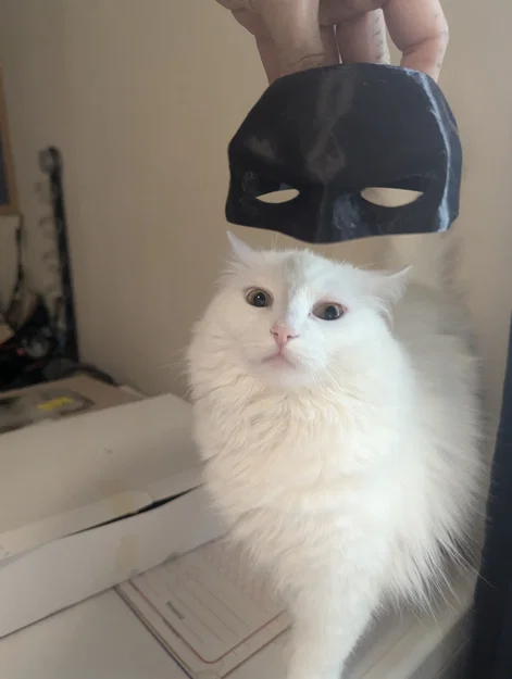 Mặt nạ Batman cho mèo (Bat Cat Batman Mask) - File in 3D cực dễ - Image 1