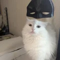 Mặt nạ Batman cho mèo (Bat Cat Batman Mask) - File in 3D cực dễ - Thumbnail 1