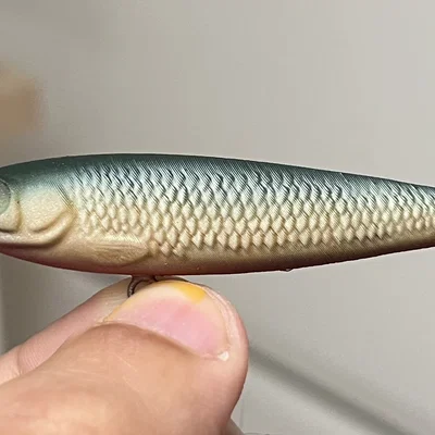 Topwater Walker 70mm