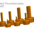 Vít vặn tay knurled Thumbscrews M2–M10 - Thumbnail 1