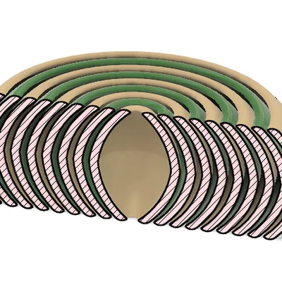 Quả cầu fidget xếp gọn (Collapsible Fidget Sphere)