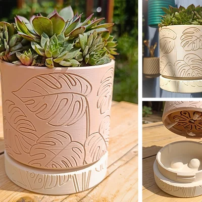 Wall Planter 1.25 Monstera – Chậu treo tường