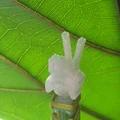 Bàn tay hình chữ V (Peace Sign) cho mô hình Dummy 13 - Thumbnail 2