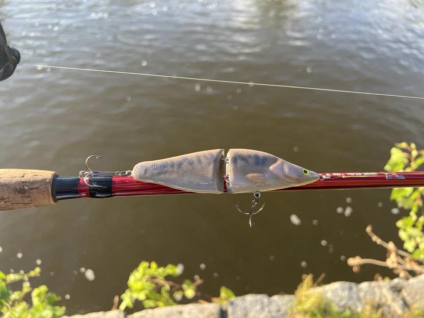 Mồi câu Zander (Walleye) Swimbait 2 mảnh - Image 2