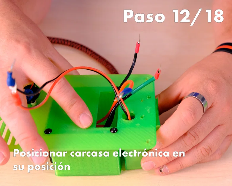 RePet Ecodecat x Control 3D - Image 16