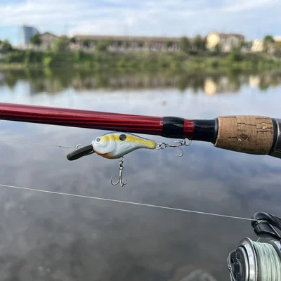 Deep Diving Mini Crankbait – Mồi Crankbait mini lặn sâu