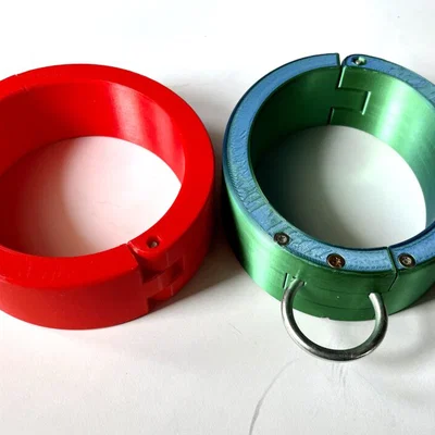 Locking Collar – Vòng cổ khóa tích hợp