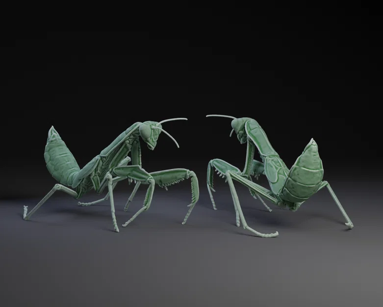 Mô hình 3D Bọ Ngựa (Praying Mantis) chi tiết cho máy in 3D - Image 1