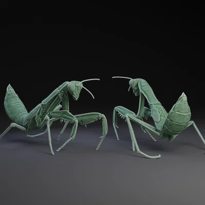 Mô hình 3D Bọ Ngựa (Praying Mantis) chi tiết cho máy in 3D