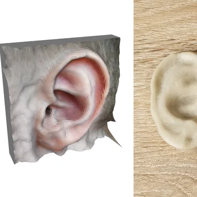 App biến 2 ảnh thành model 3D (Stereo 3D Scanner)